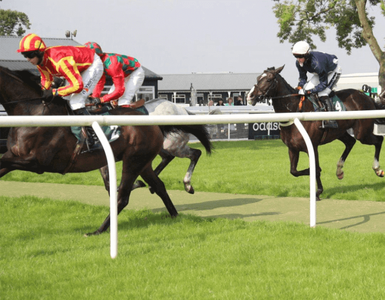 Horses and jokey on the Race Course