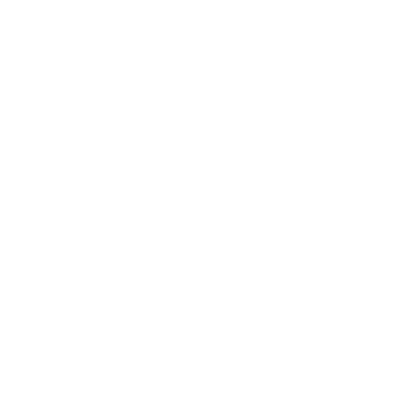 shield icon